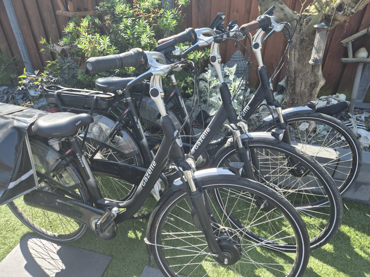 Elektrische fiets Voque | bezorgen mogelijk.