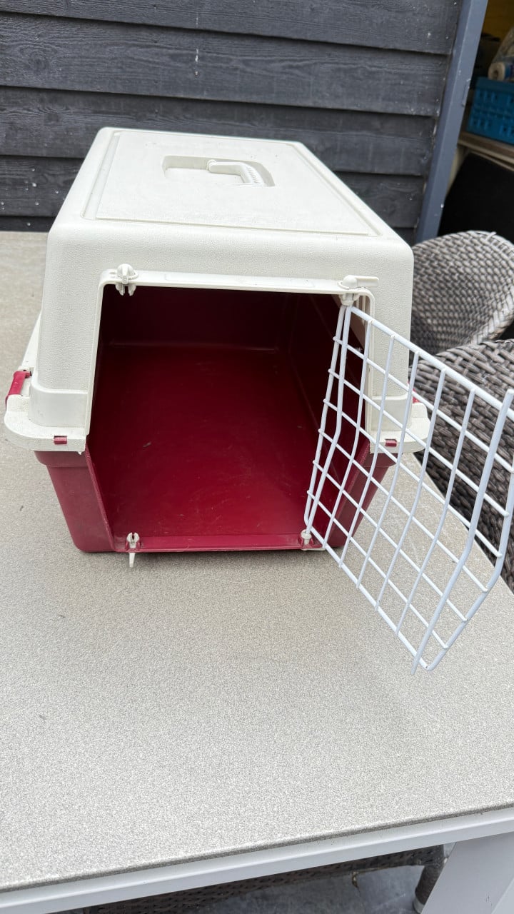 Transportbox Ferplast Atlas 20