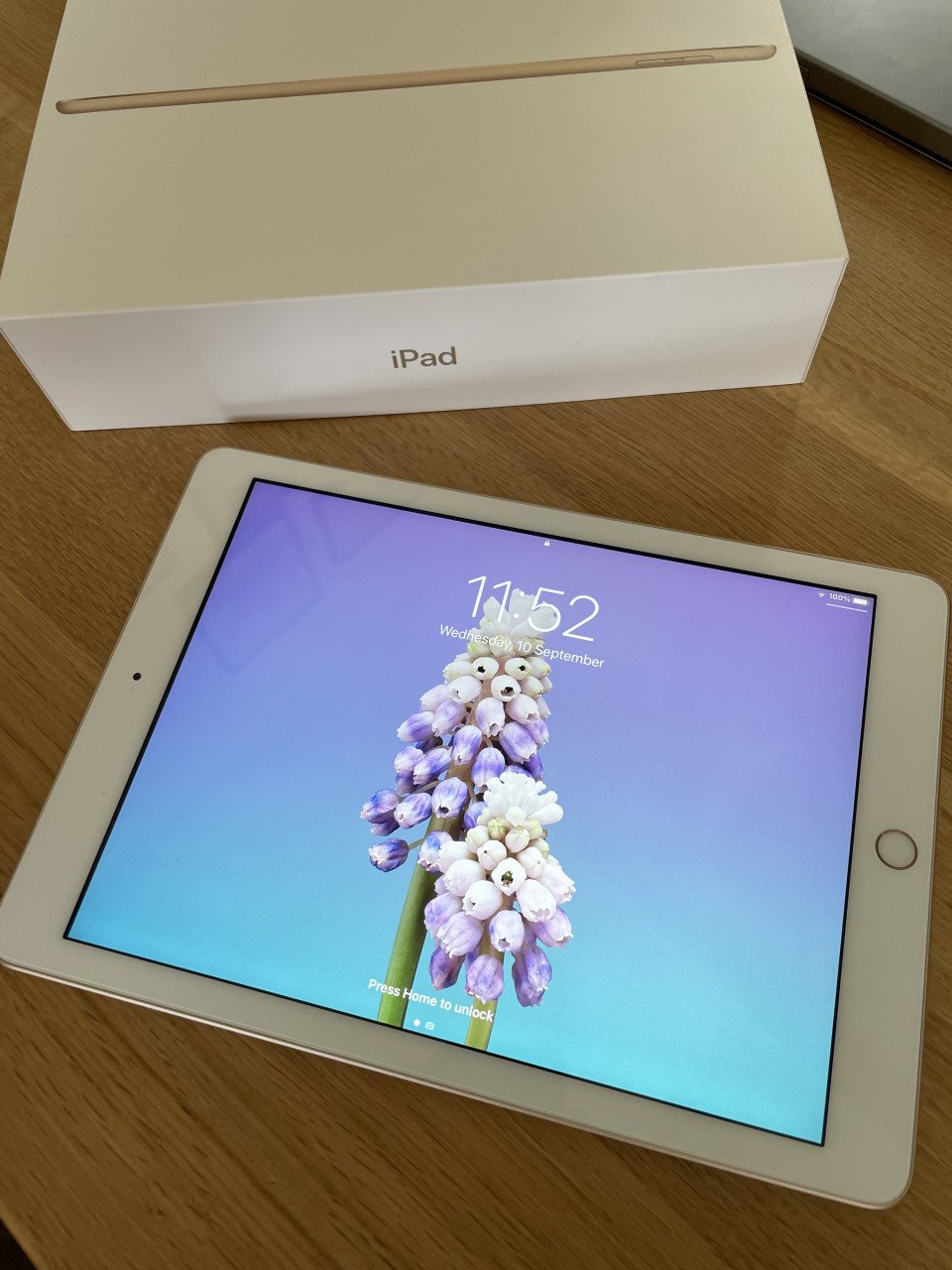 Hele nette iPad: 32GB Goud A1822 (5e generatie)