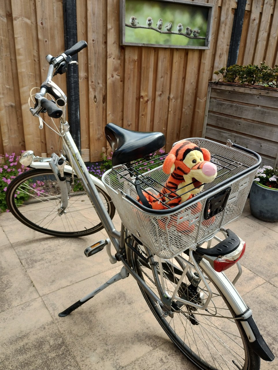 Fietsmand hondje