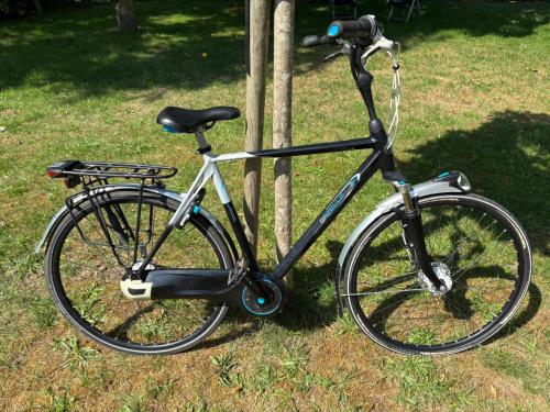 Gazelle Limited Edition herenfiets