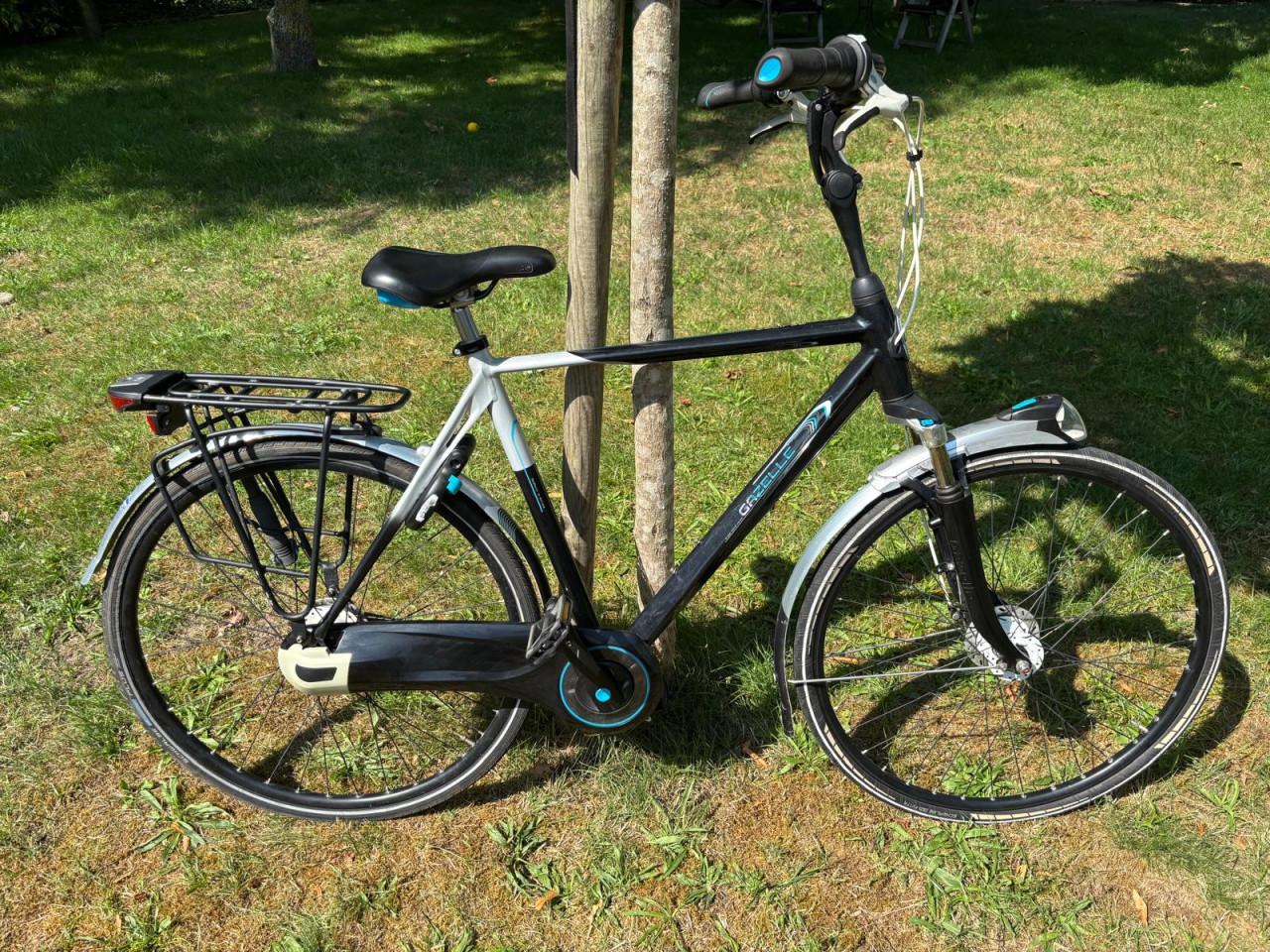 Gazelle Limited Edition herenfiets