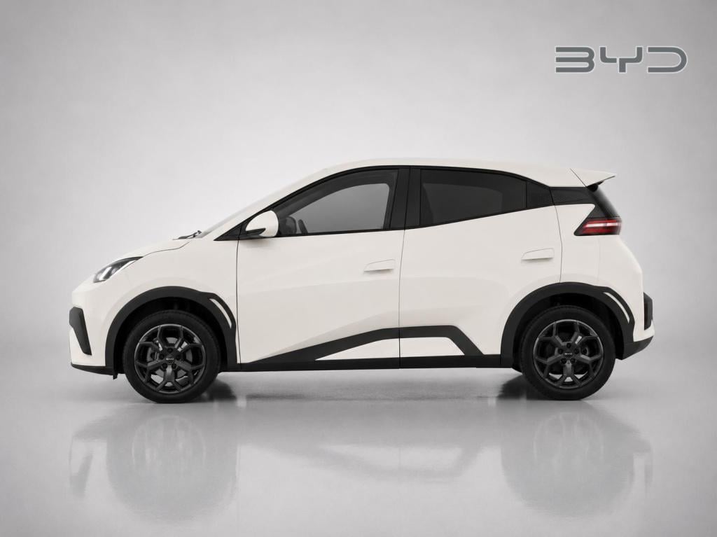 Byd Dolphin Surf comfort 43 kwh