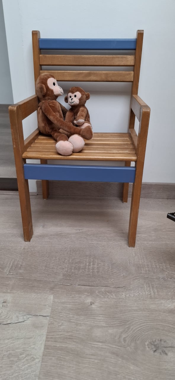 Peuter/Kleuterbed 165cm