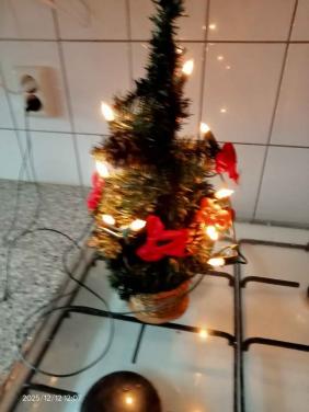 Kleine kerstboom met verlichting