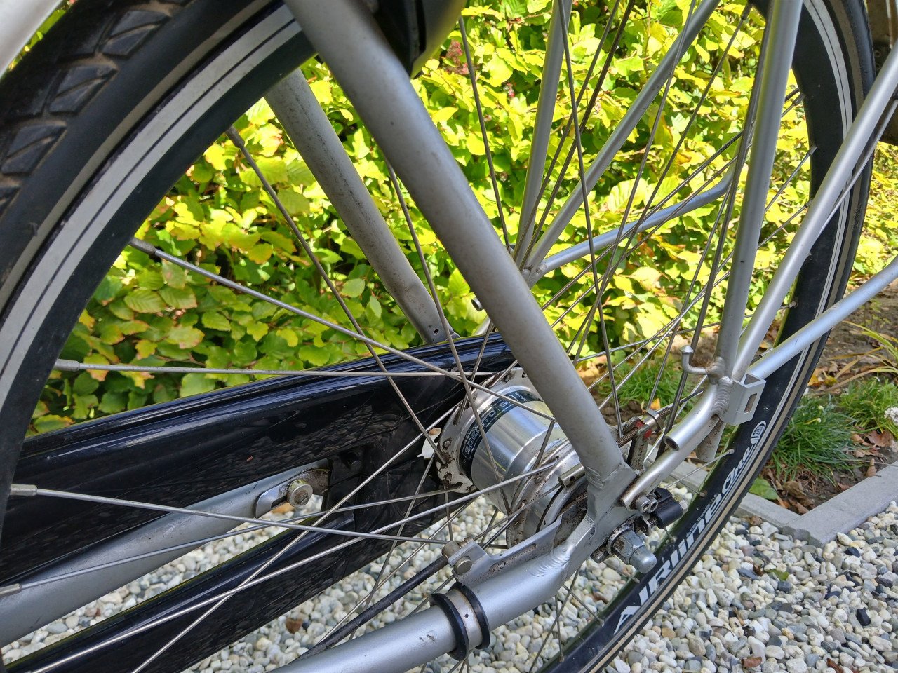 Damesfiets of meisjesfiets Altra Vision