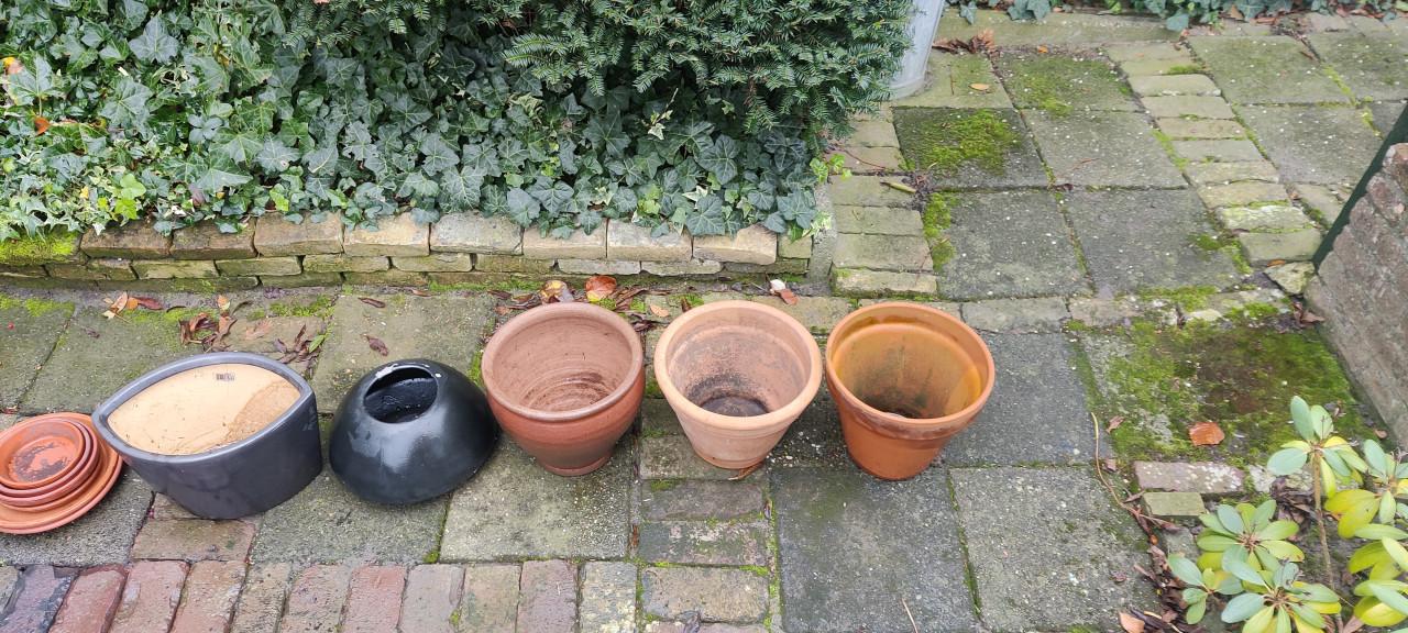 Bloempotten terracotta