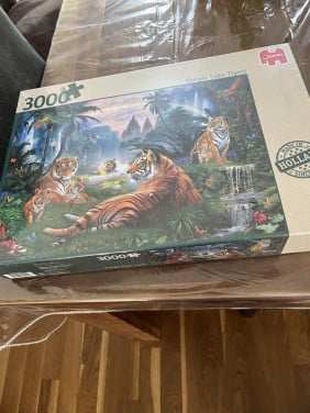 Puzzel 3000 stuks