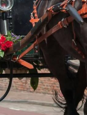 Houten lamoen voor een sjees