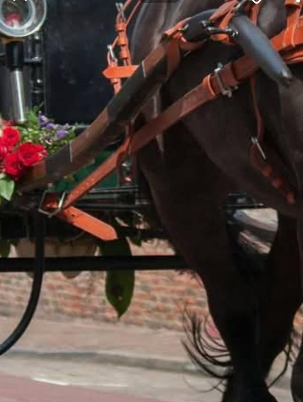 Houten lamoen voor een sjees