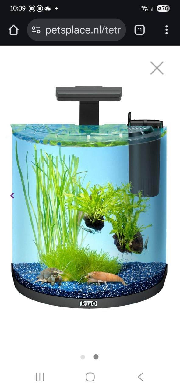 Prachtig halfrond aquarium.