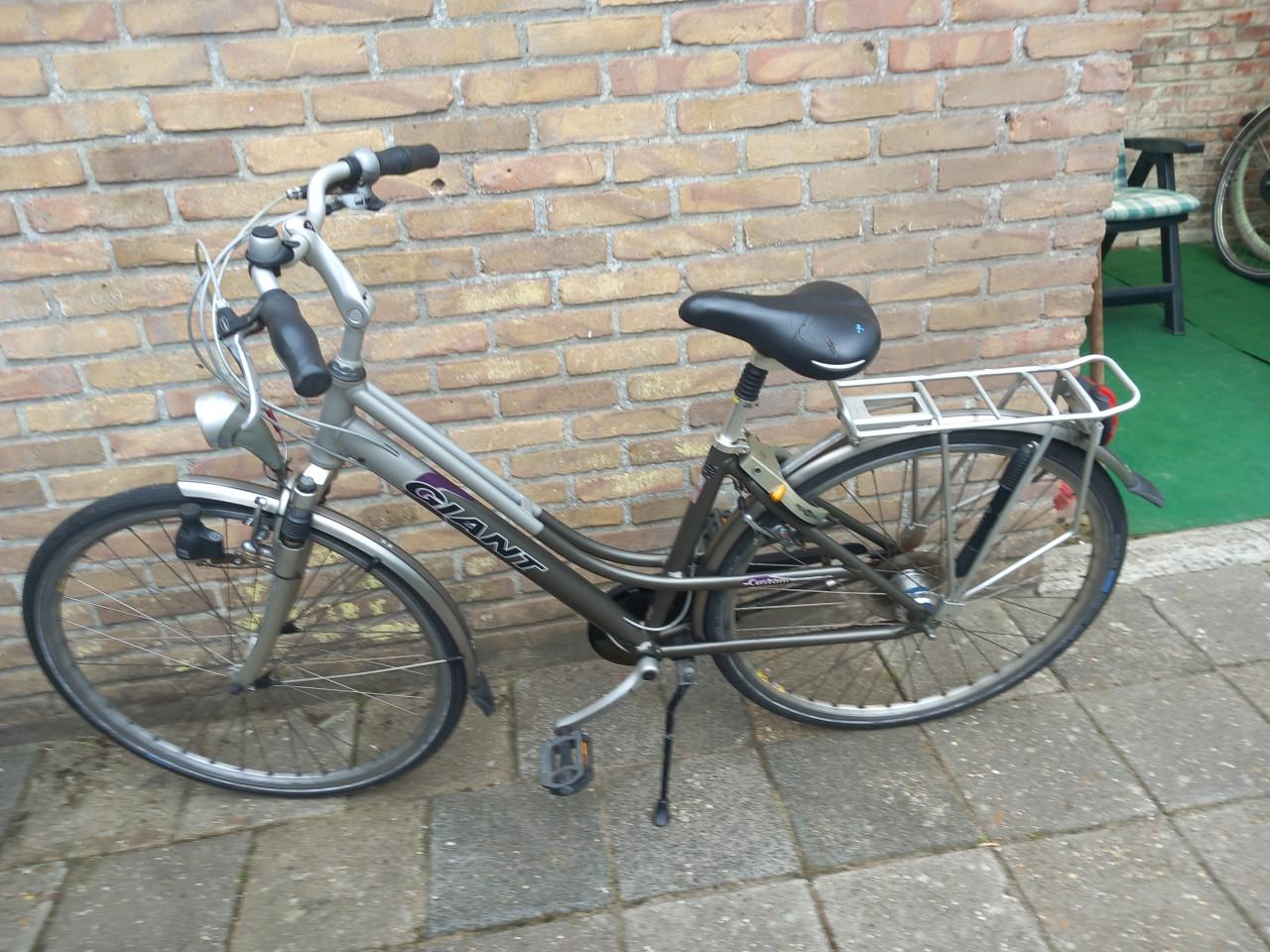 Giant custom damesfiets