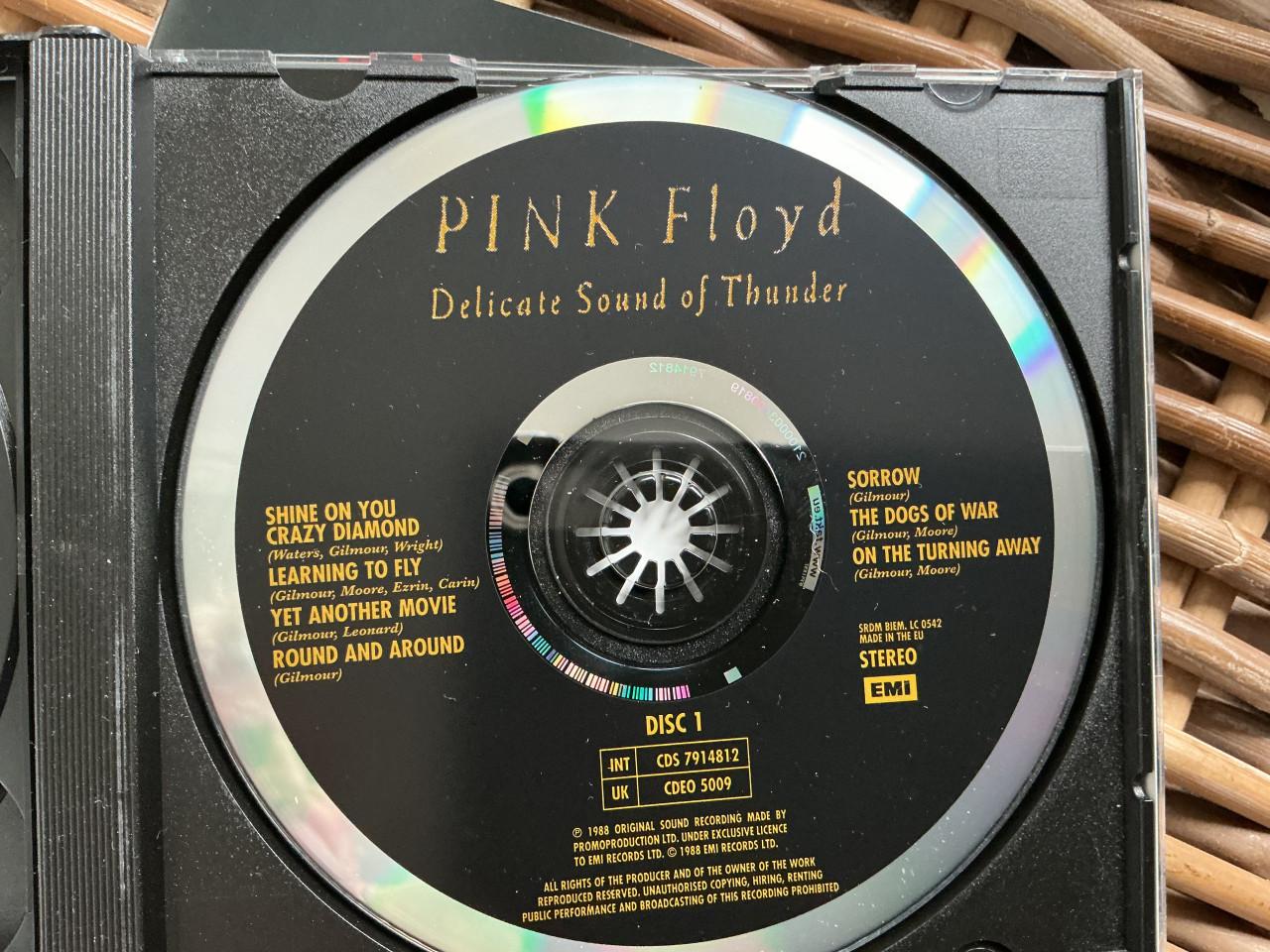 Pink Floyd Delicate Sound of Thunder