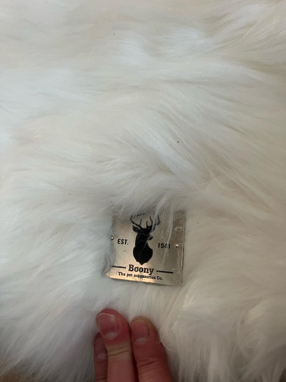 Prachtige boony krabpaal/boom