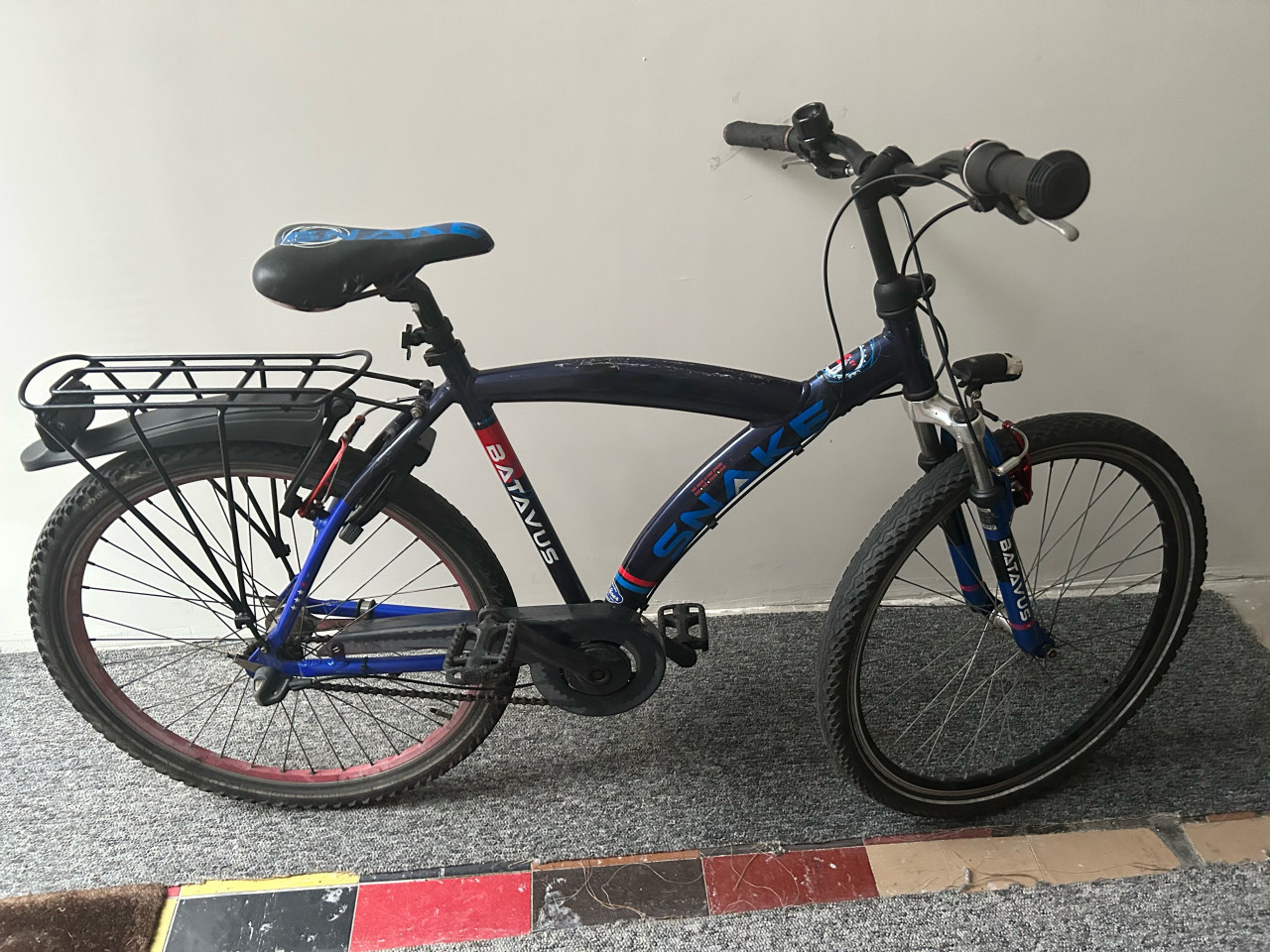 Batavus snake 26 inch