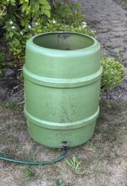 Tuin