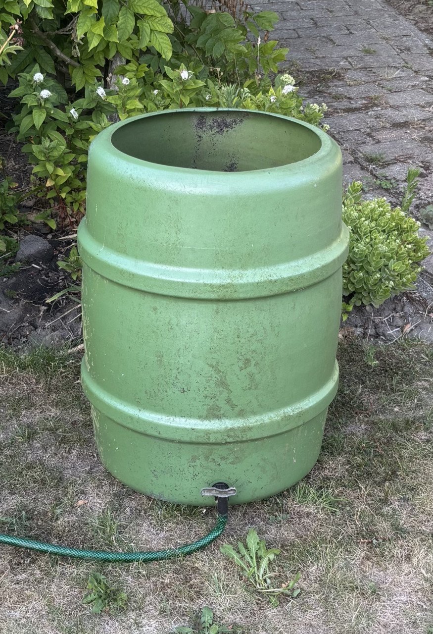 Tuin