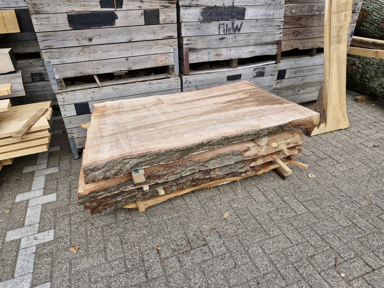 Boomstam tafelbladen
