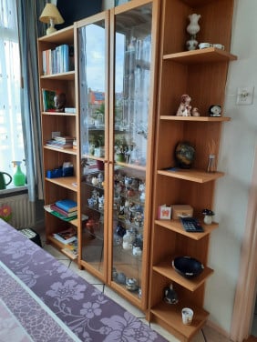 Kasten (boekenkast/vitrinekast/hoekregaal