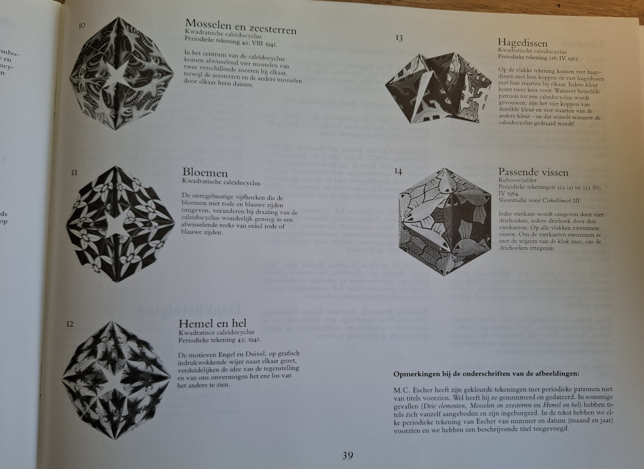 M.C. Escher Caleidocycli, door Doris Schattschneider, plus 12 werkbladen