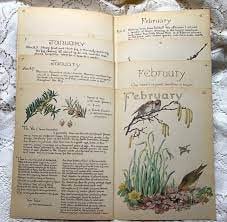 Te koop; boek vreugde van het landleven anno 1906 vogels planten