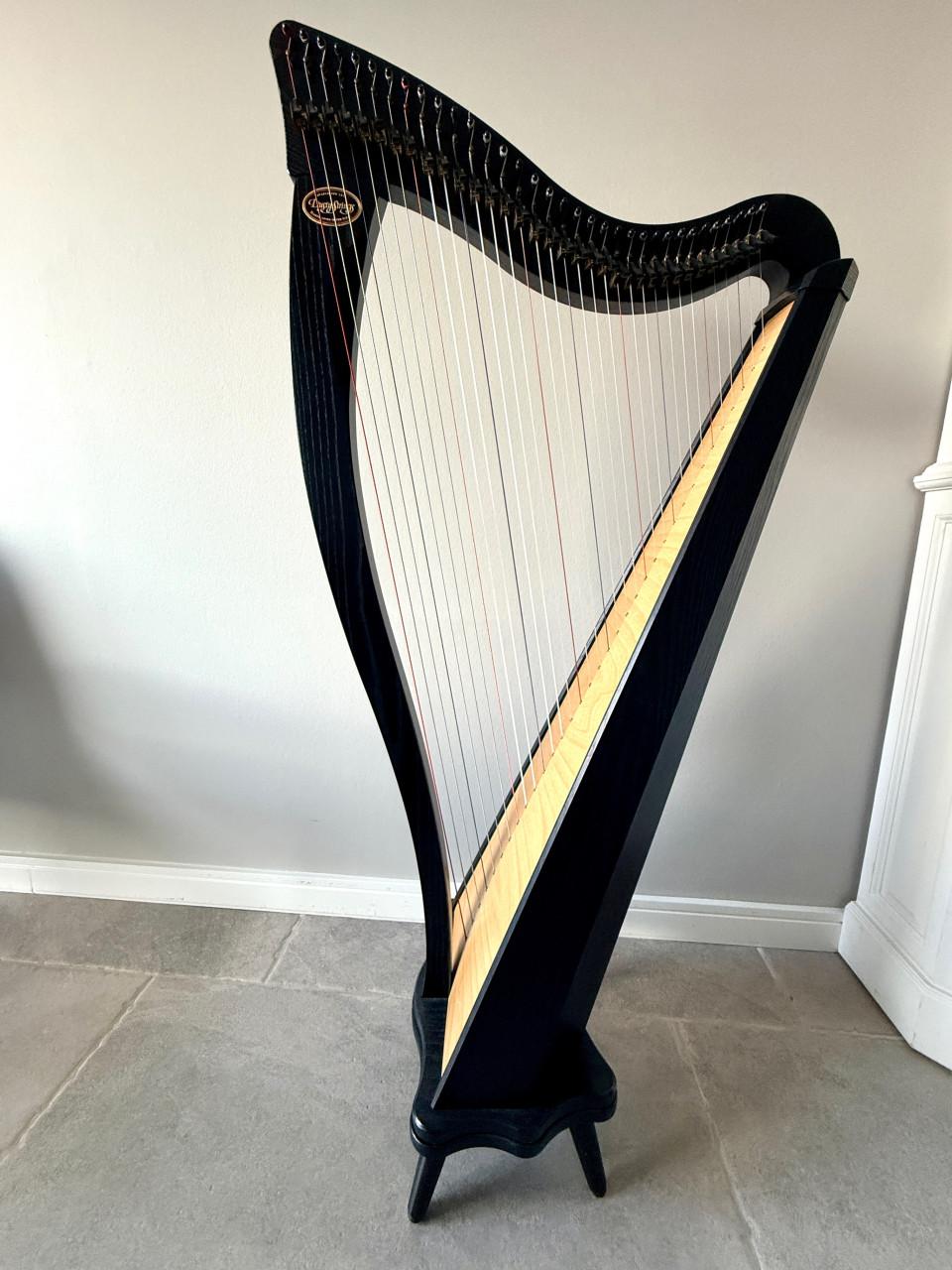 Harp Dusty Strings Ravenna 34