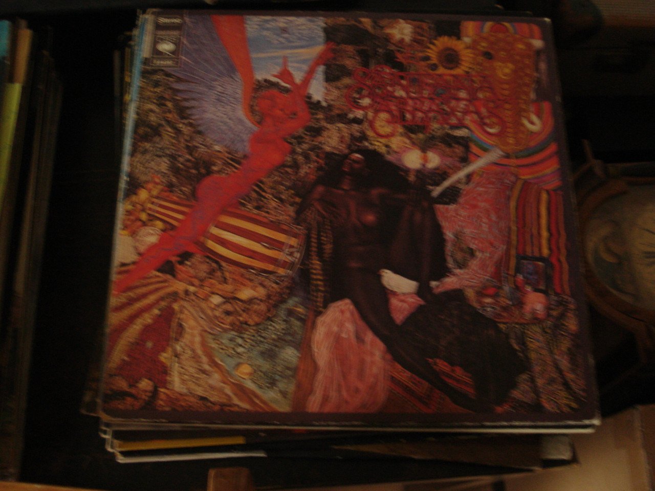 Lp divers