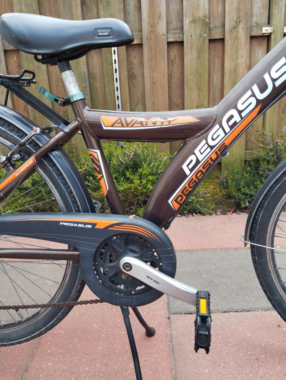 PEGASUS AVANTI 26 inch