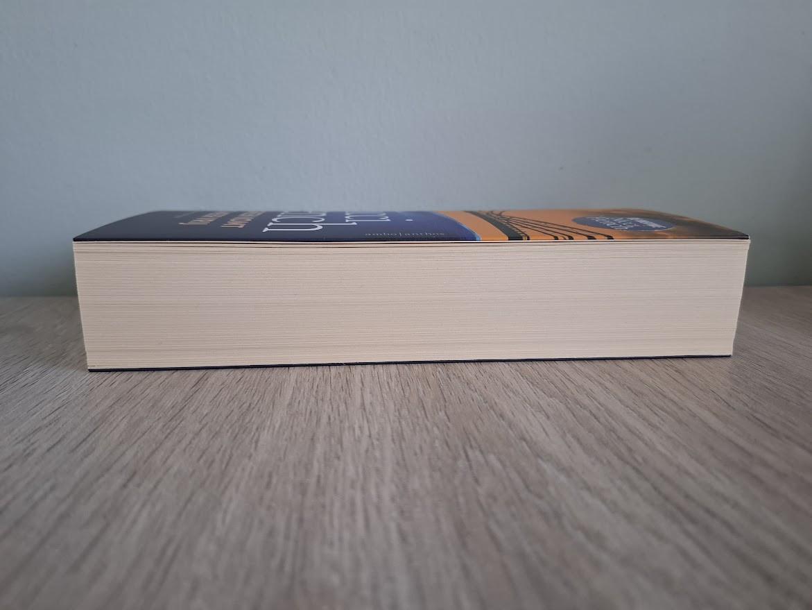 Nicci French - Tyler Green komt nooit meer vrij