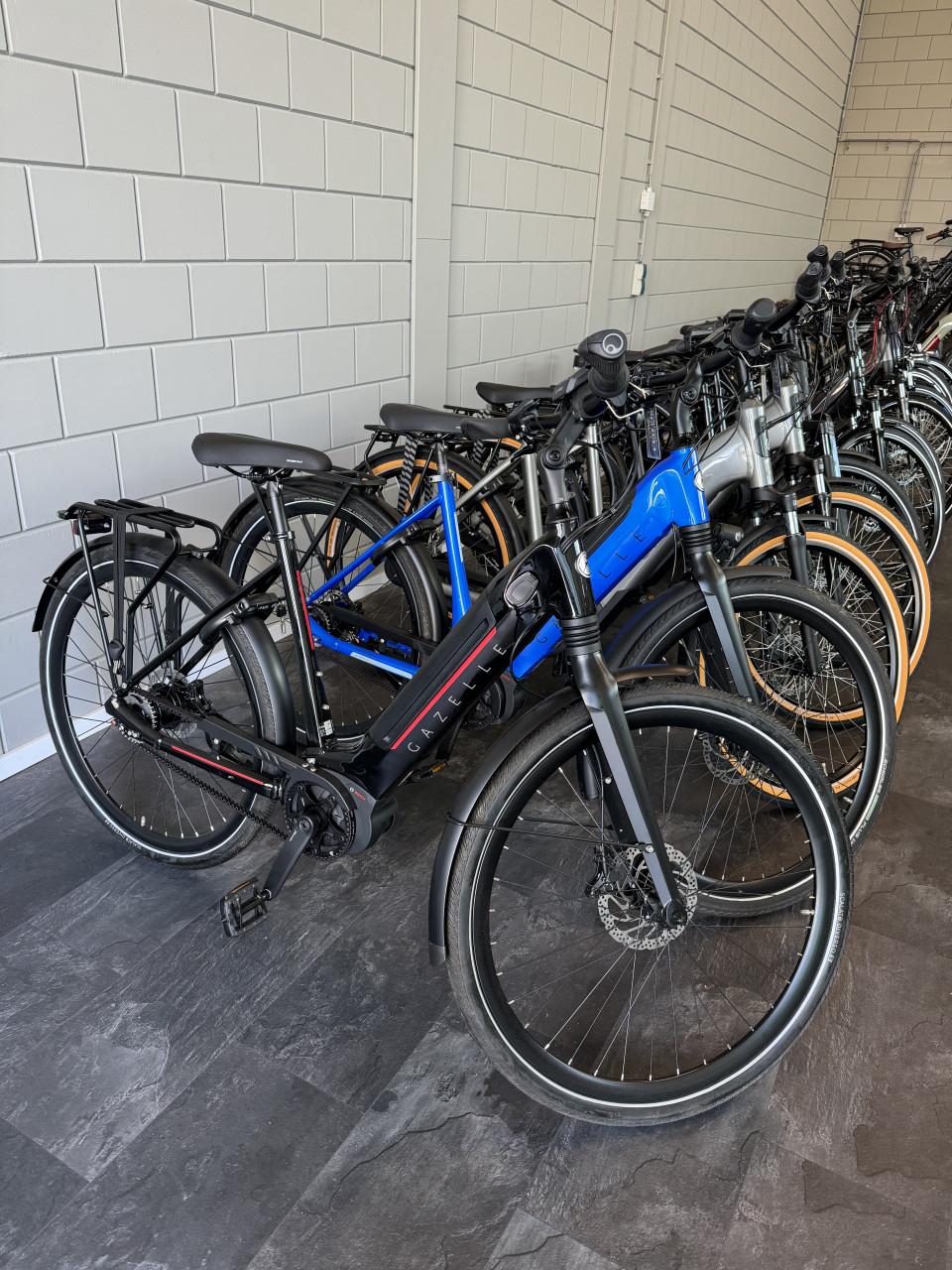 A-merk E-bikes | Bosch middenmotor | GRATIS bezorgd NL & BE