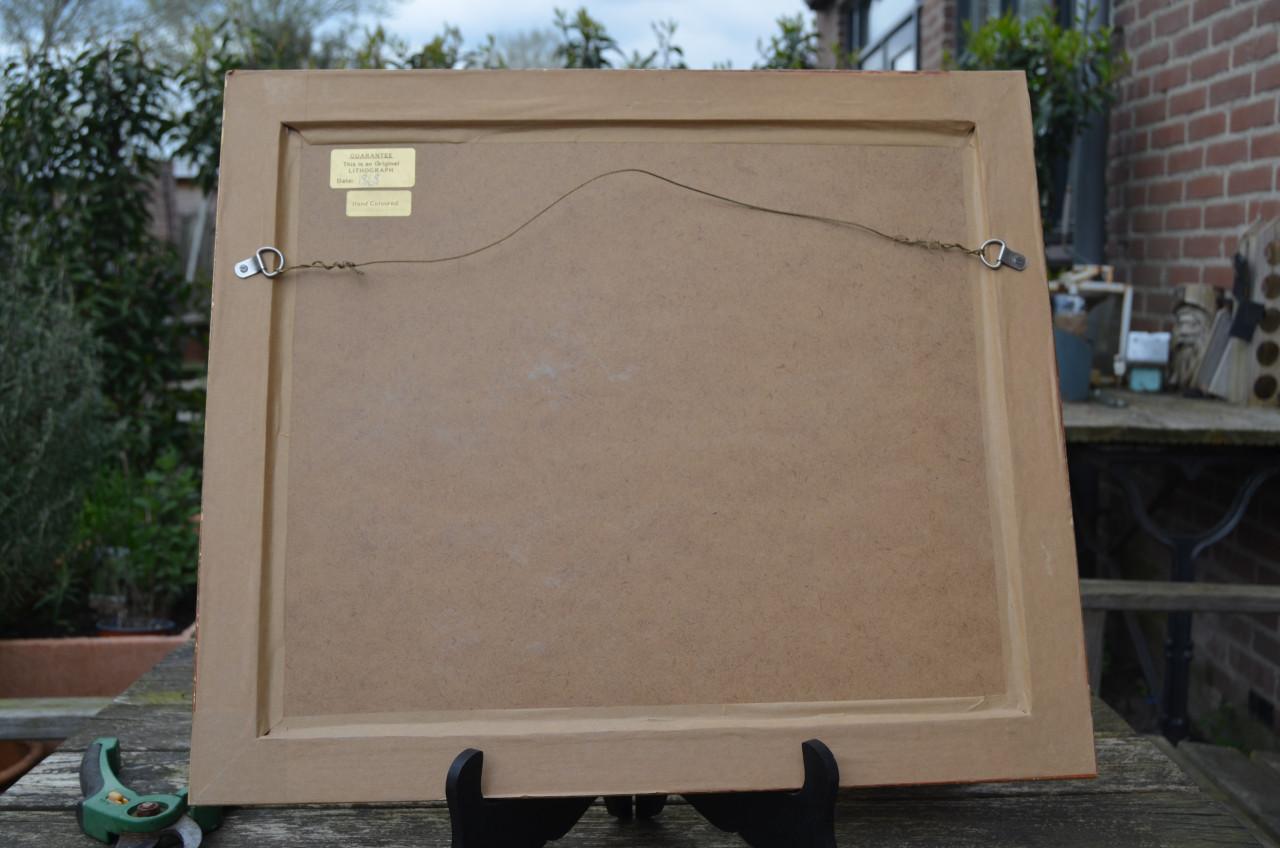 Fraaie handgekleurde litho 'Goosander' (Grote Zaagbek) 1868