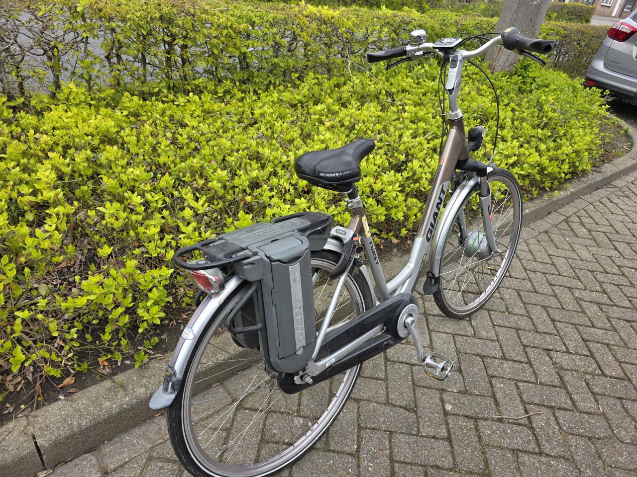 Keurig nette Giant Twist elektrische fiets