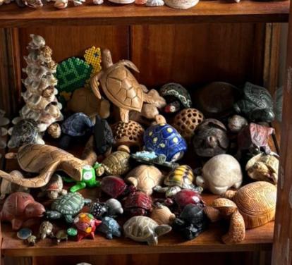 Verzameling schildpadden