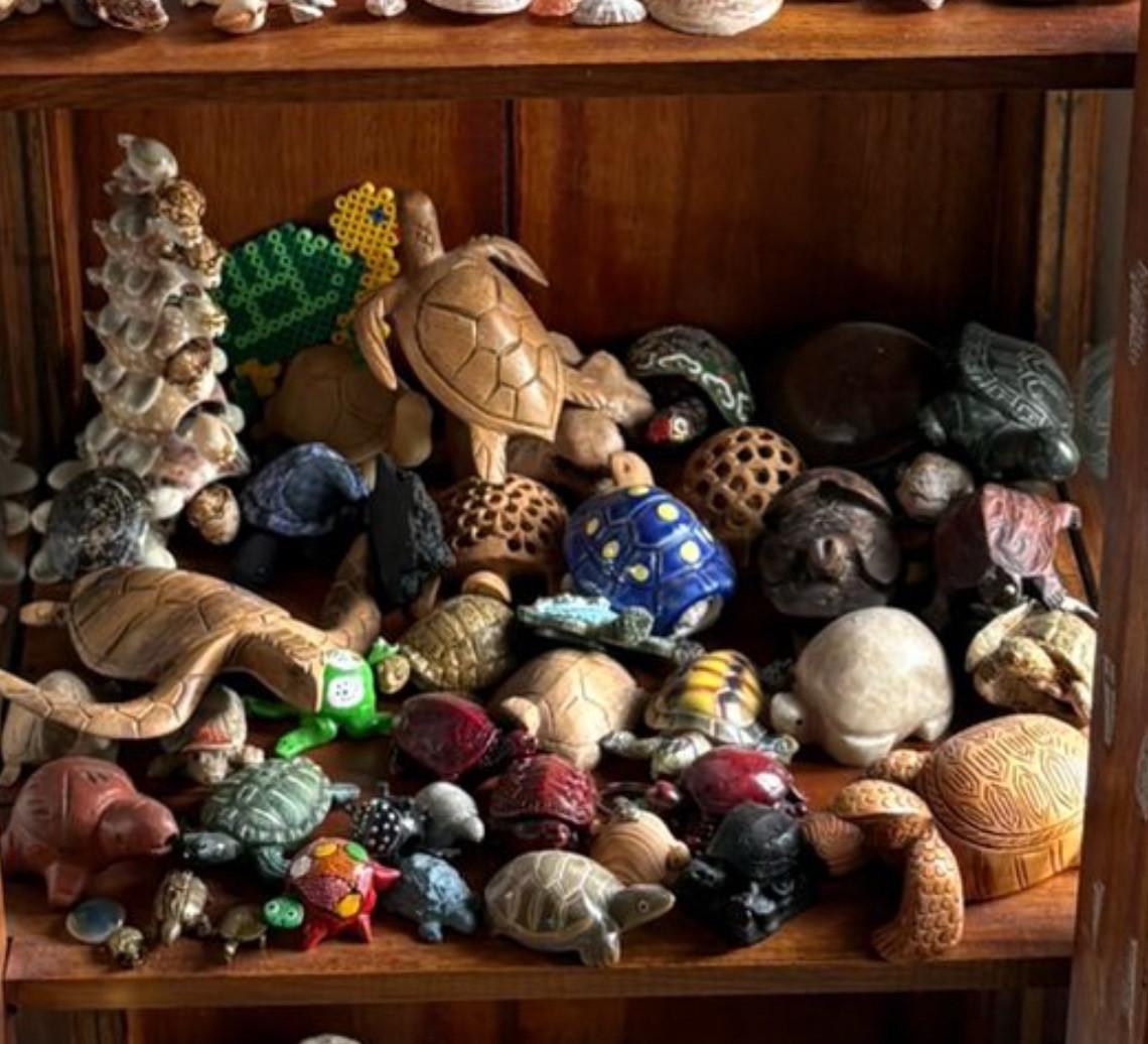 Verzameling schildpadden