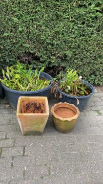 Twee terracotta potten