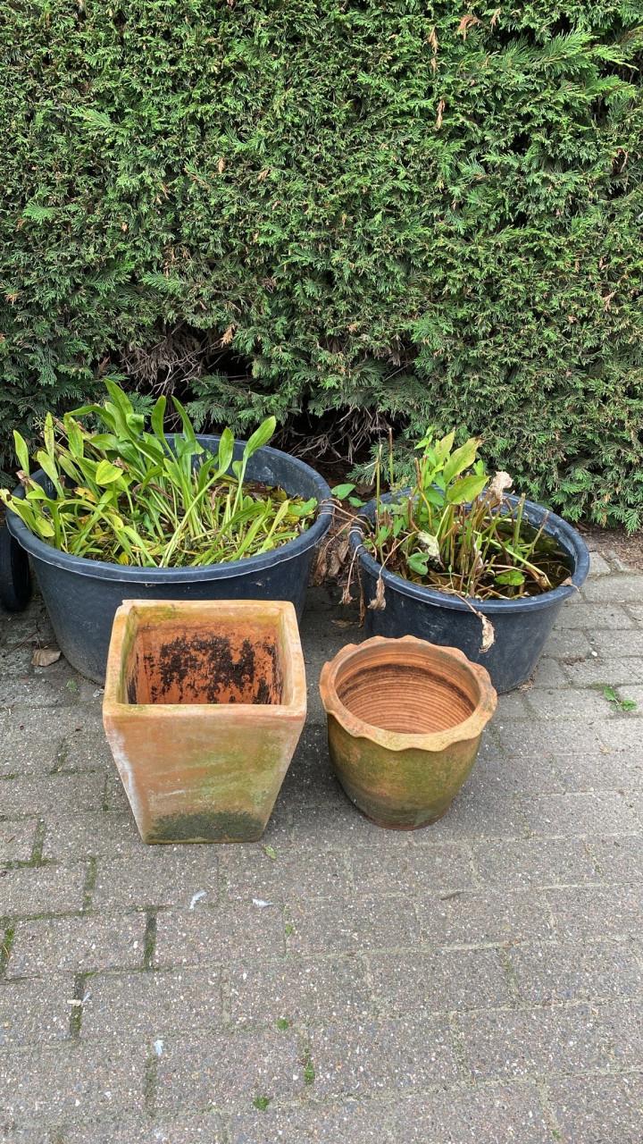 Twee terracotta potten