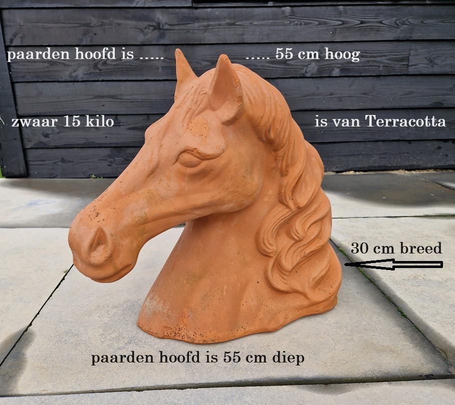 Groot hoofd paard en beeld koe ...beide gebruikt.