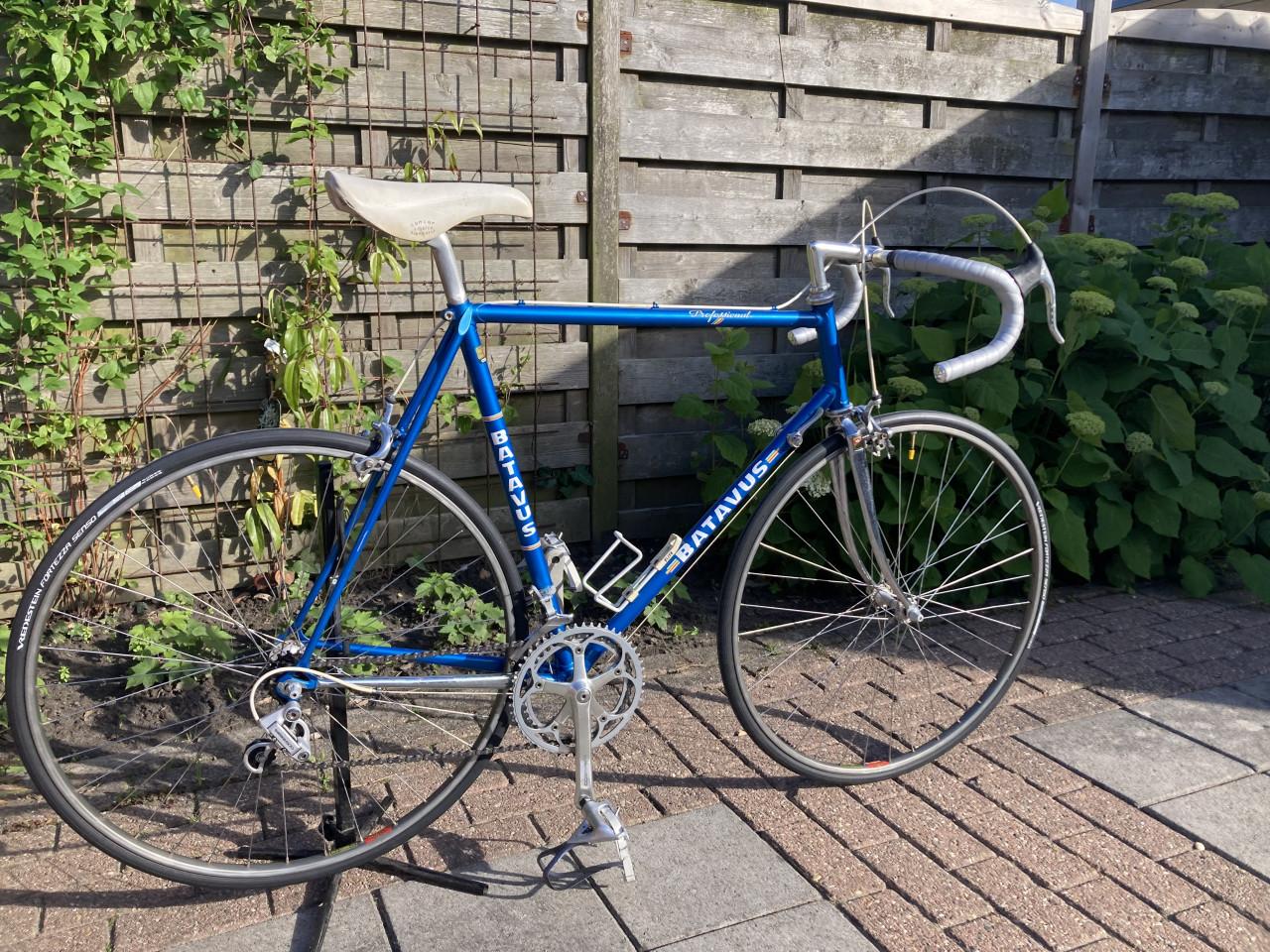 BATAVUS Professional  Columbus