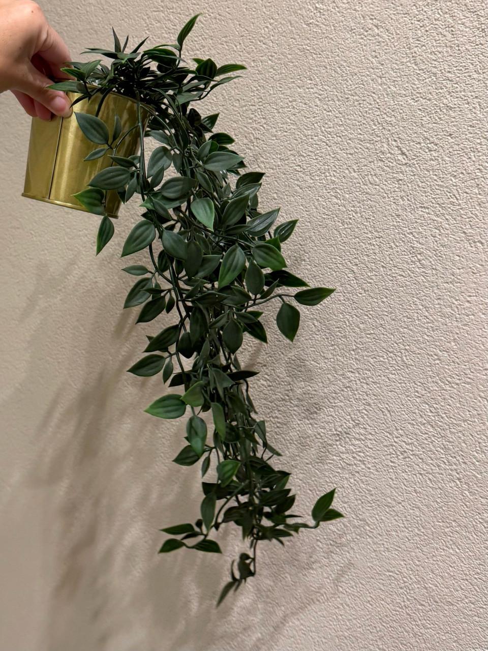 Macramé plantenset