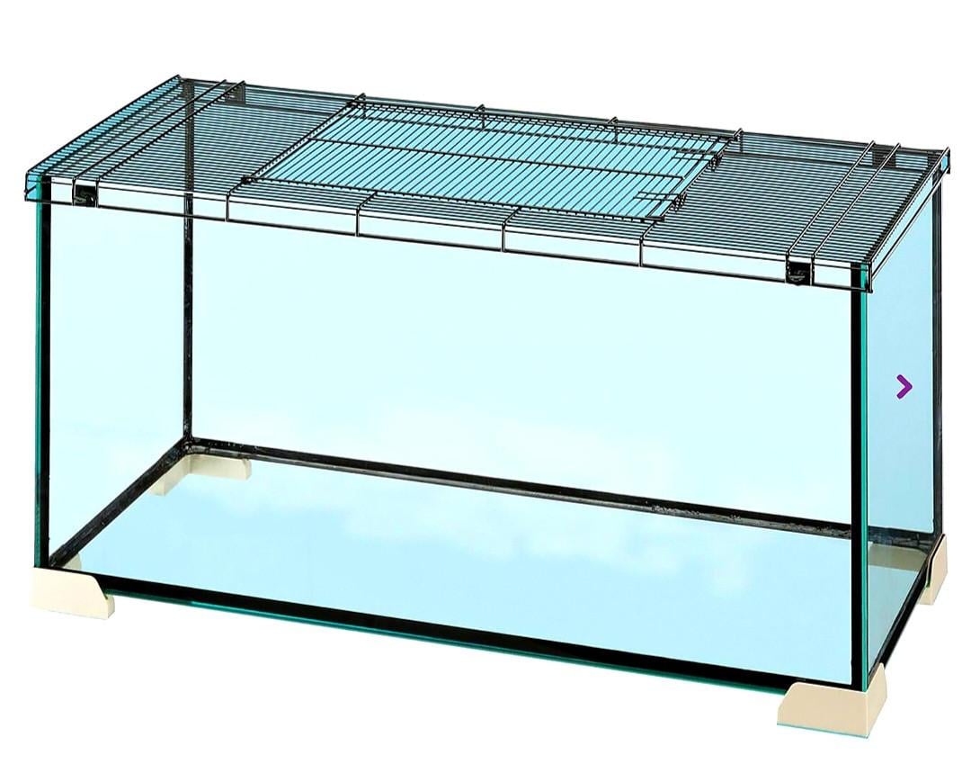 Knaagdieren verblijf