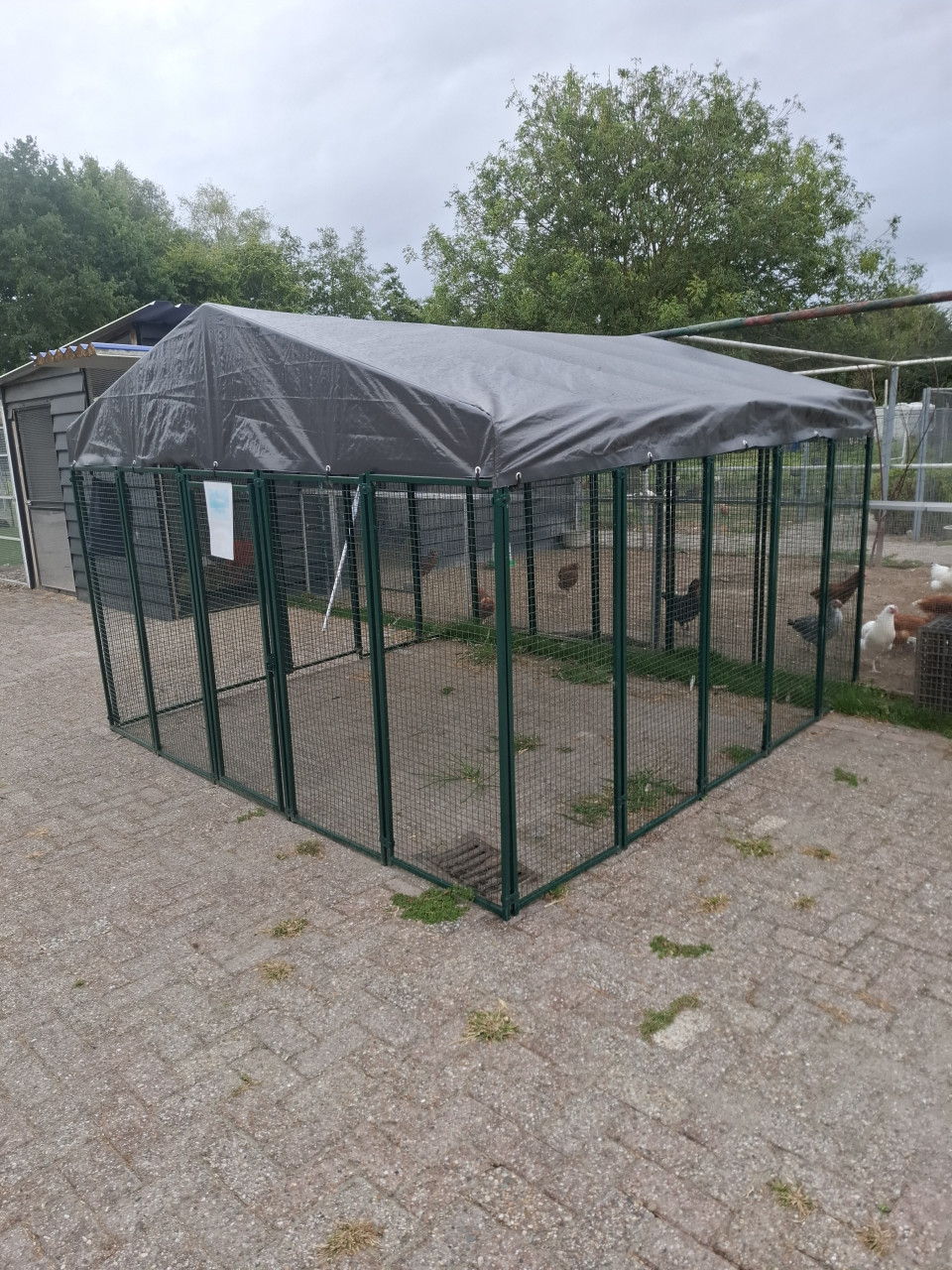 20 % KORTING OP CUCCIOLOTTA KIPPENHOKKEN +REN
