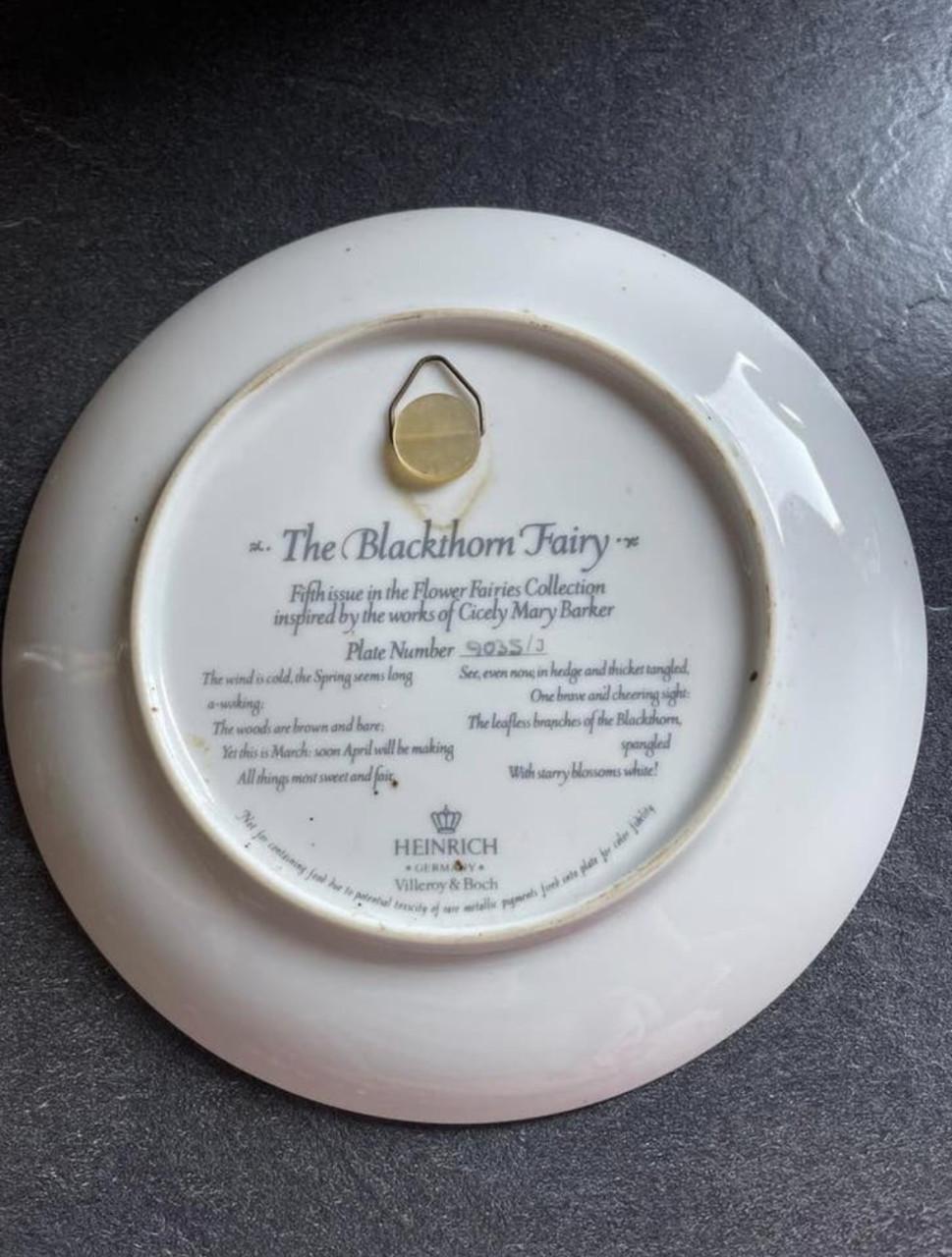 Prachtige wandbord uit de 'Flower Fairies Collection'