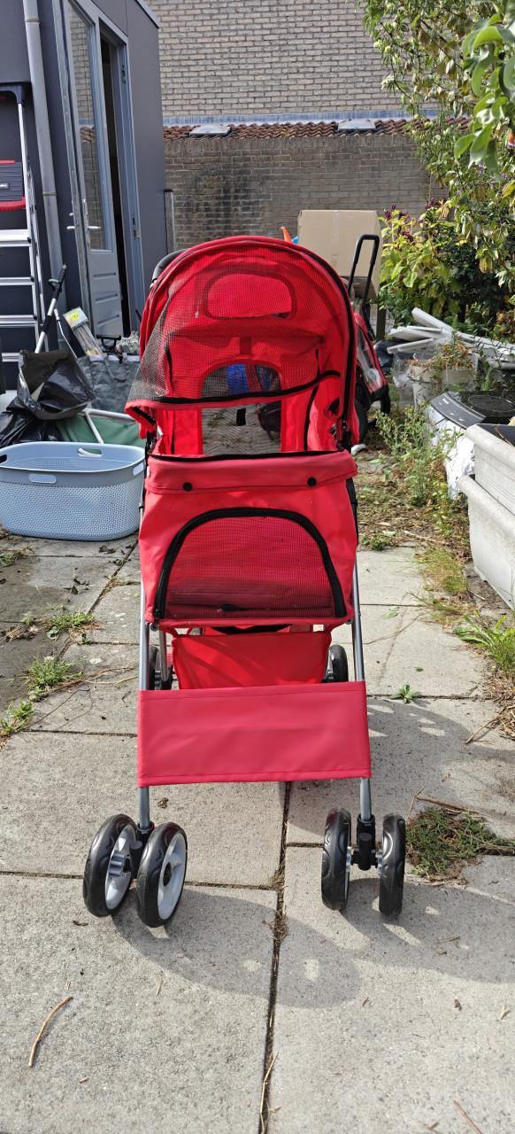 Buggy, zgan