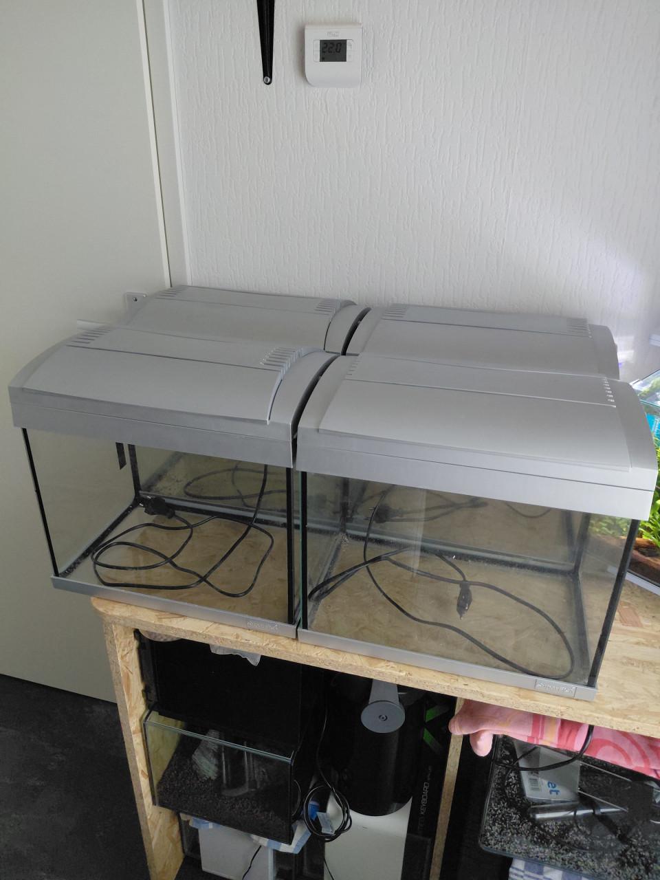 4 dezelfde aquarium,s