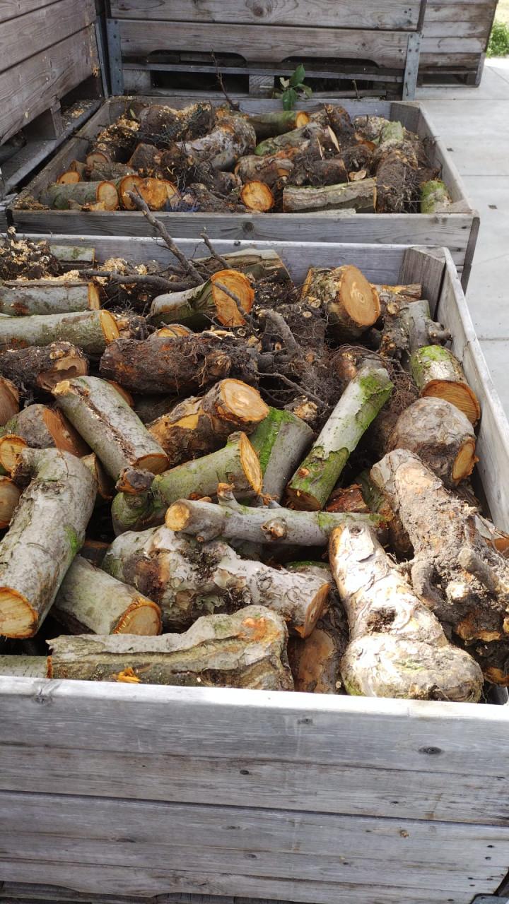 Kachel hout