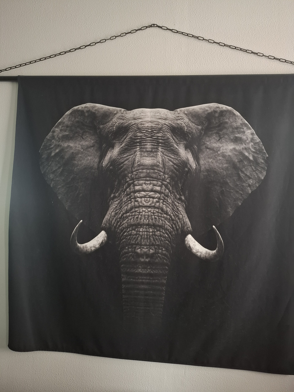 Wandkleed olifant