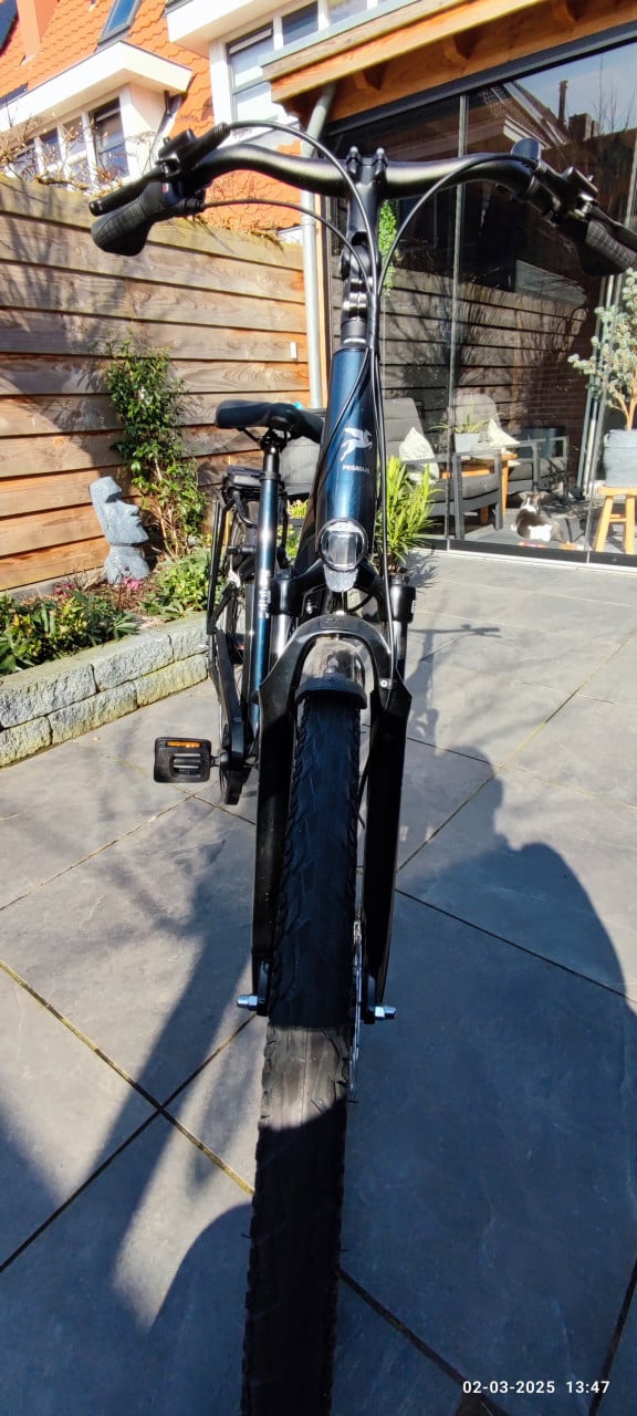 Damesfiets Pegasus