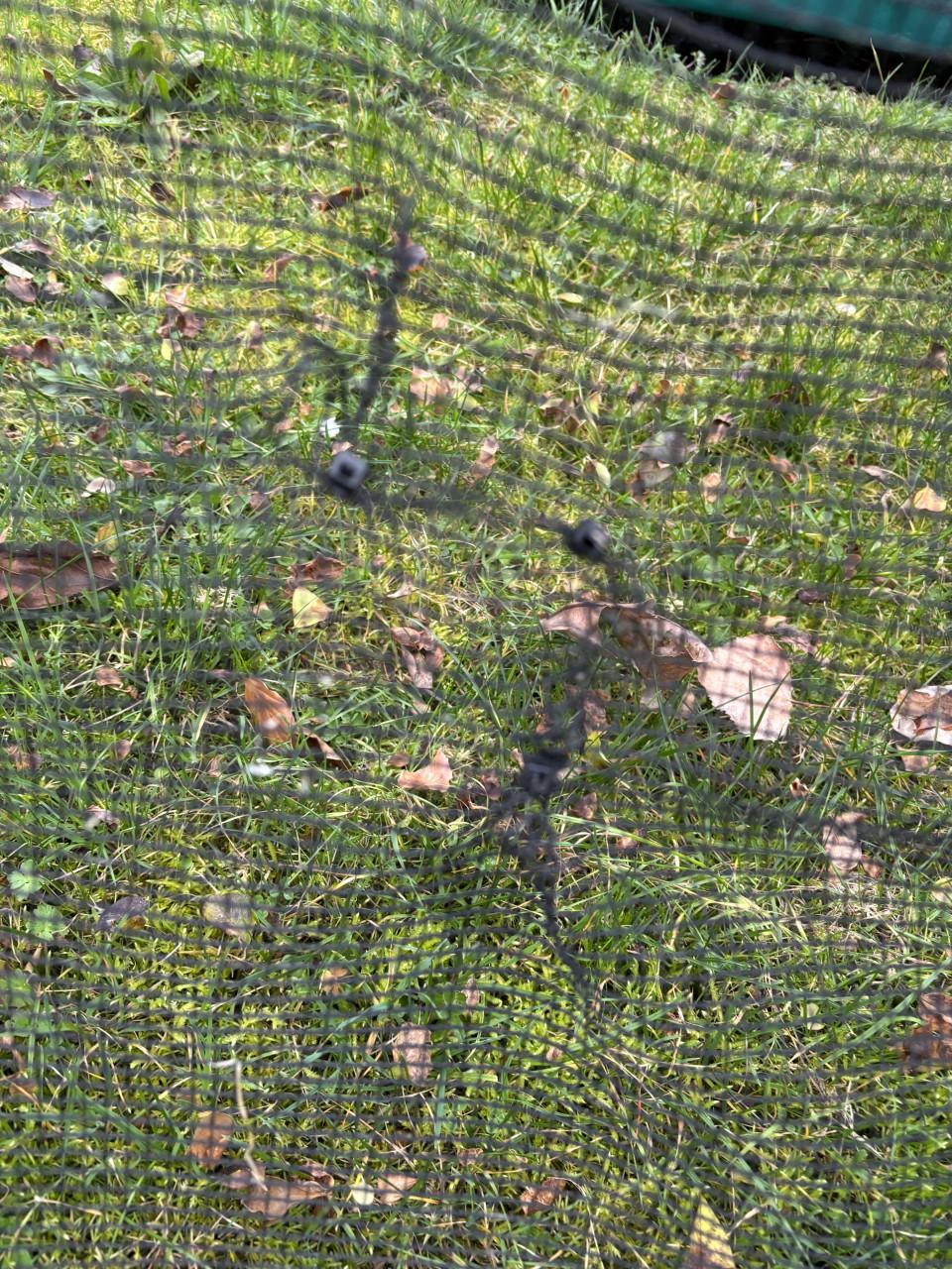 Voetbaldoel exit doel voetbal