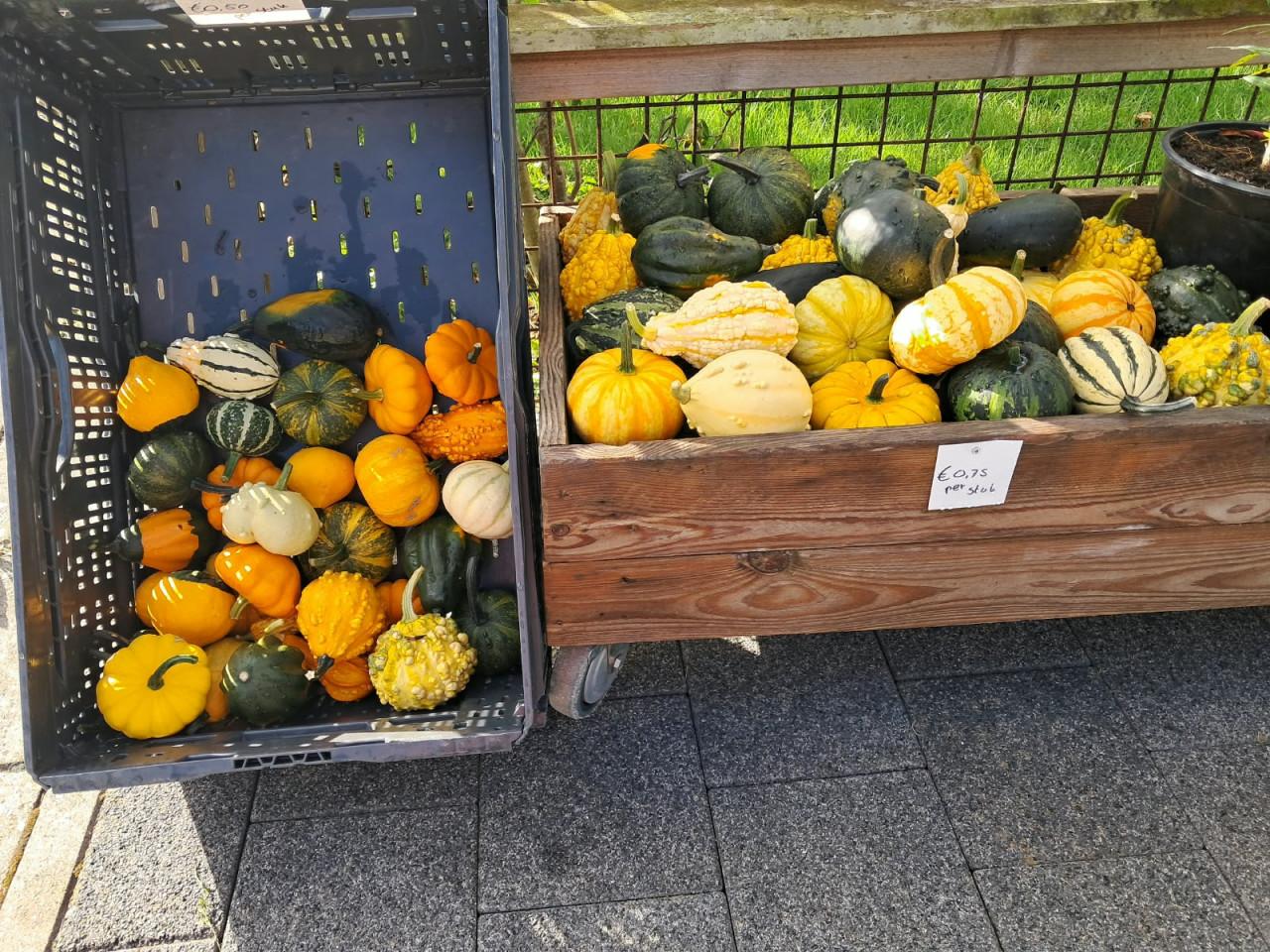 Kalebassen