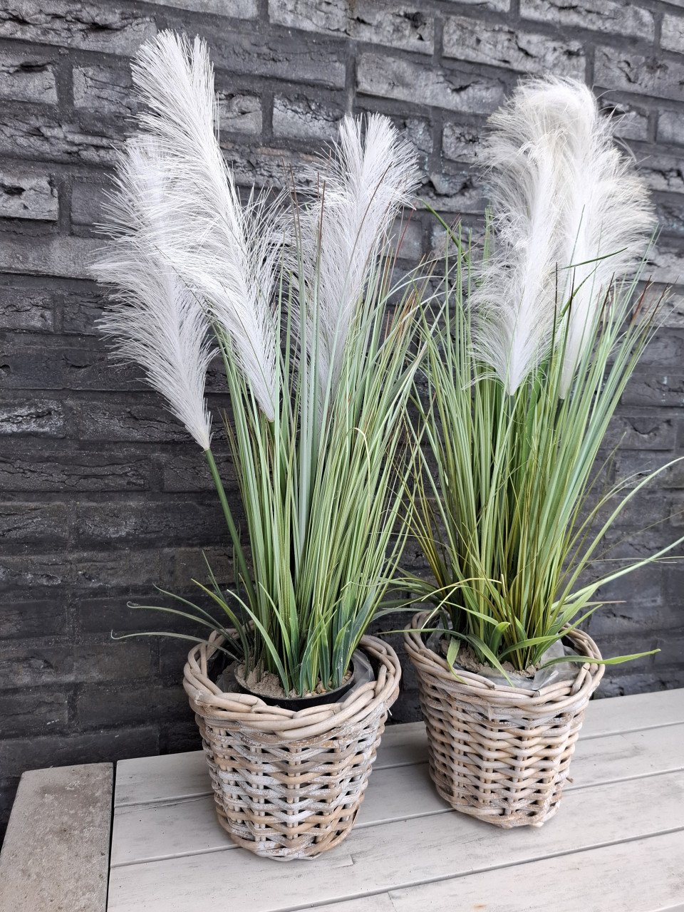 Kunstgras planten